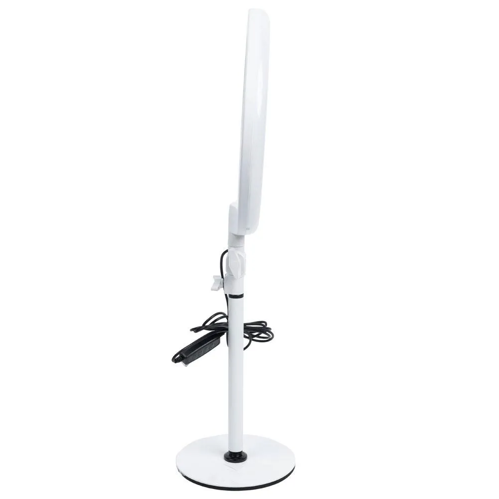 10" LED Table Ring Light - Portia