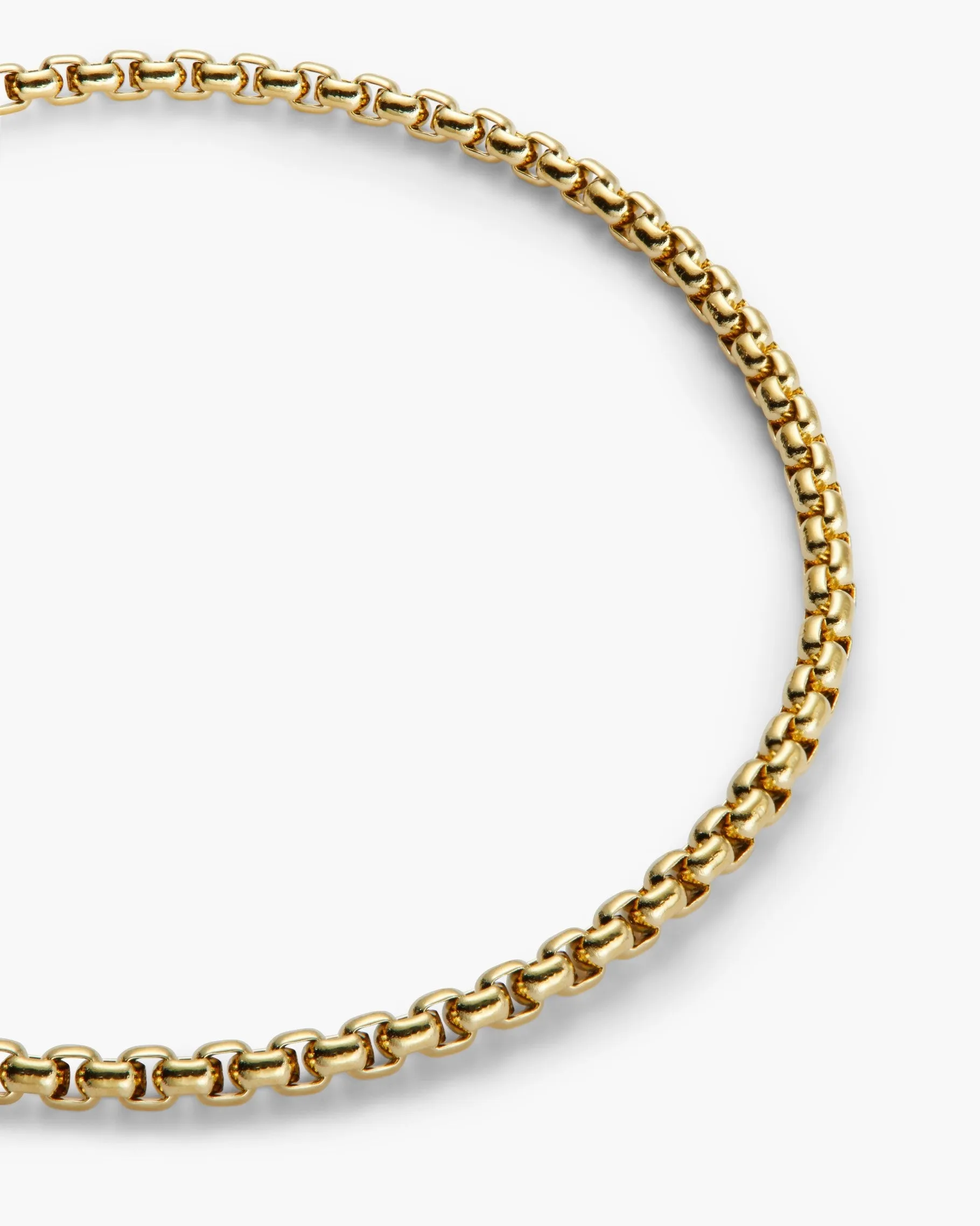 Essential Round Box Chain Bracelet