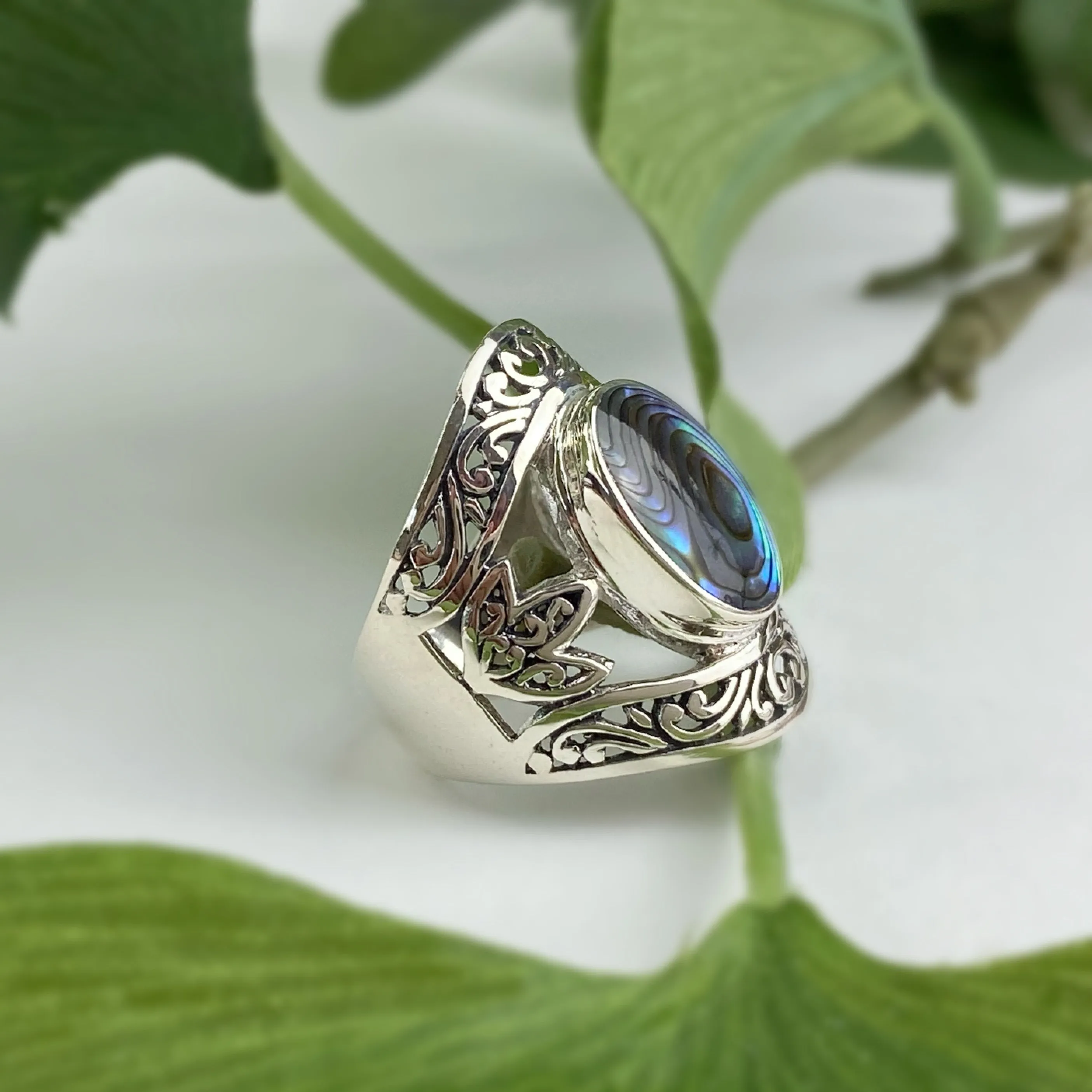 Lianne Ring - VR412